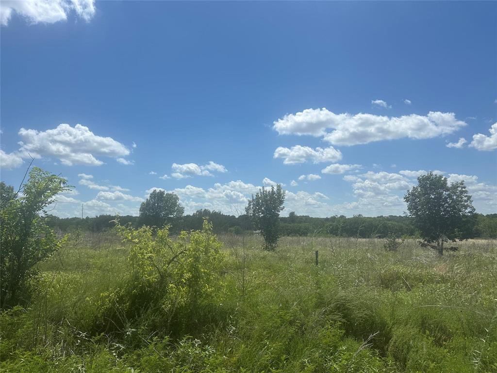 263 West Yucca View Street Weatherford, TX 76085 - Photo 4 of 8