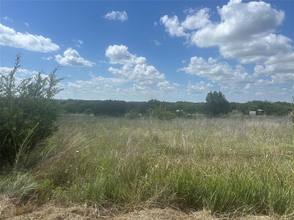 263 West Yucca View Street Weatherford, TX 76085 - Photo 5 of 8 a view of lake with green space