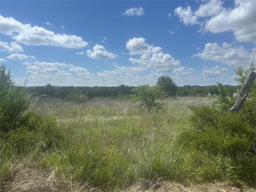 263 West Yucca View Street Weatherford, TX 76085 - Photo 6 of 8 a view of a lake in middle of forest