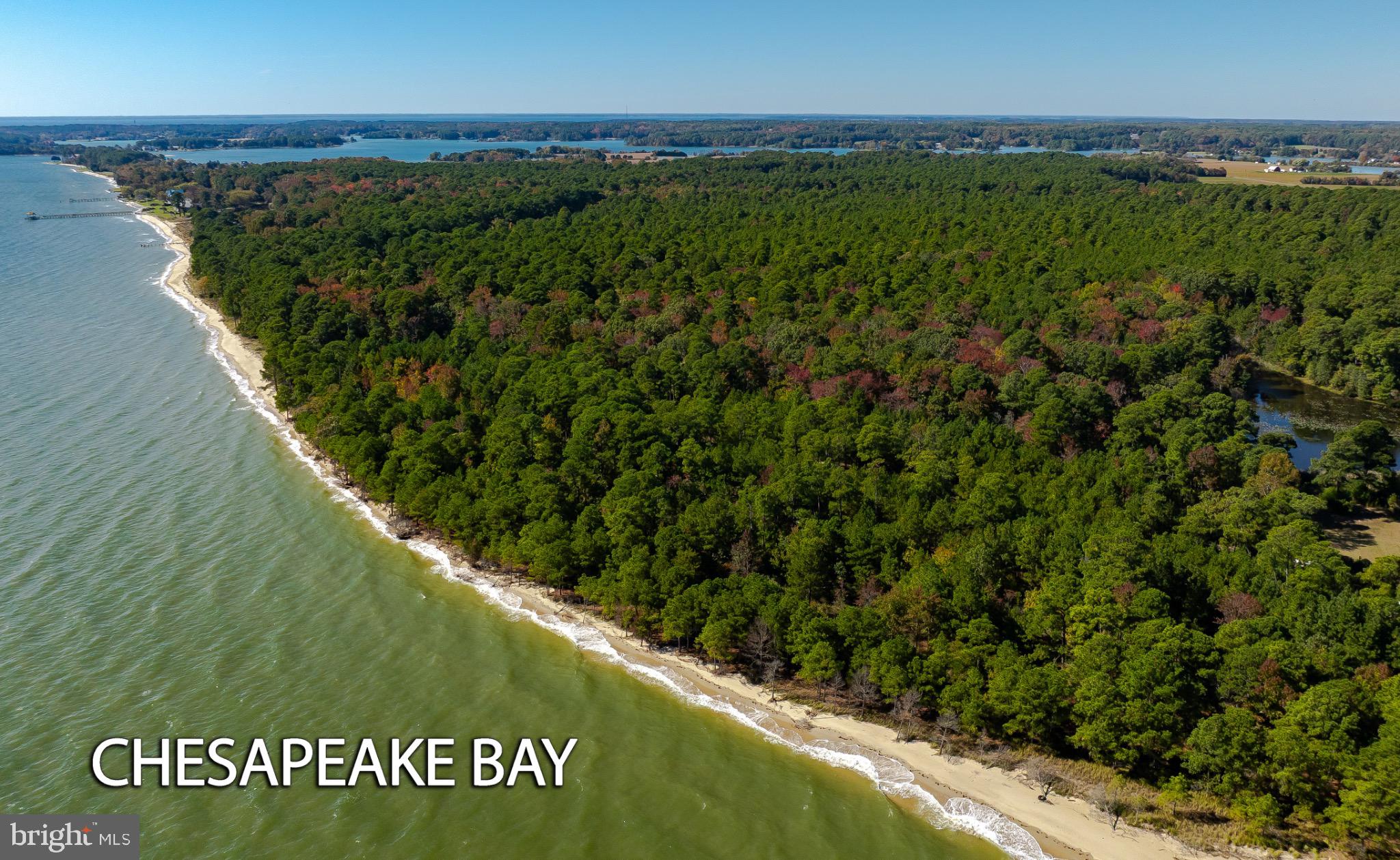 50645 Holly Point Road Dameron, MD 20628 - Photo 12 of 99
