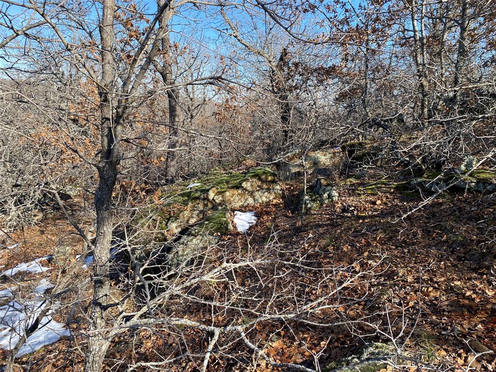401 Mountainview Court Sunset, TX 76270 - Photo 12 of 18 a view of a tree