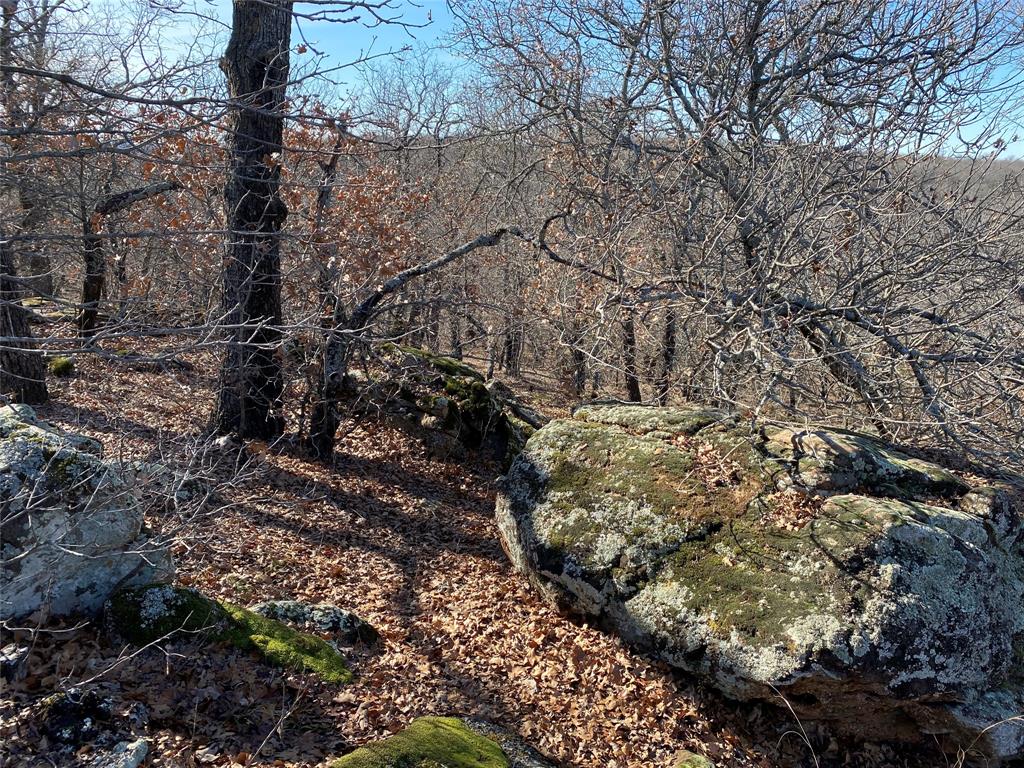 401 Mountainview Court Sunset, TX 76270 - Photo 15 of 18 a view of tree