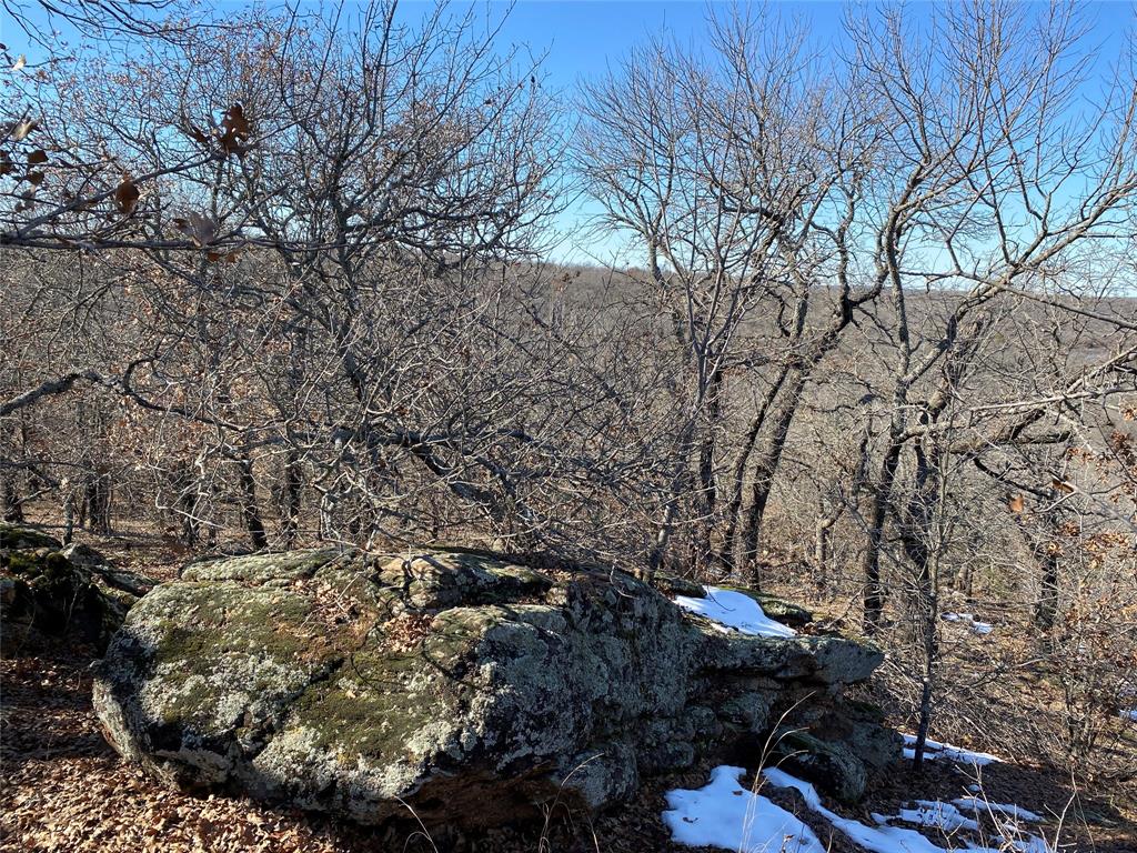 401 Mountainview Court Sunset, TX 76270 - Photo 16 of 18 a view of a tree with some trees