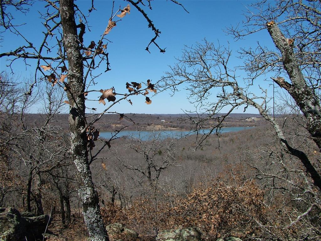 401 Mountainview Court Sunset, TX 76270 - Photo 3 of 18 a view of a dry yard with lots of plants and trees