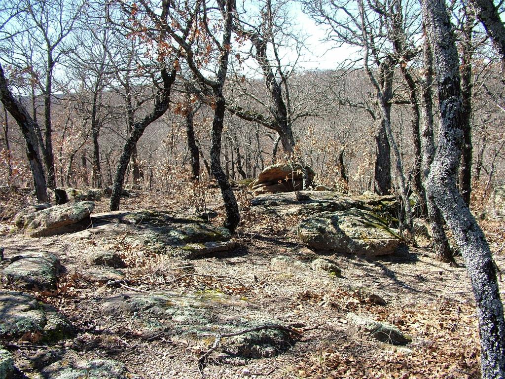 401 Mountainview Court Sunset, TX 76270 - Photo 4 of 18 a view of outdoor space