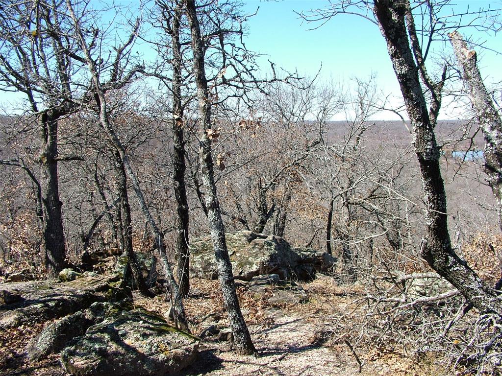 401 Mountainview Court Sunset, TX 76270 - Photo 5 of 18 a backyard of a house with lots of green space