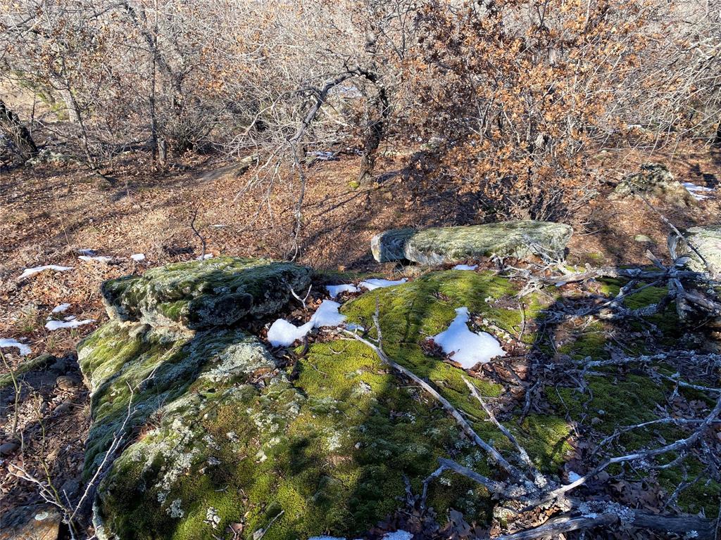401 Mountainview Court Sunset, TX 76270 - Photo 6 of 18 a view of grapes plant
