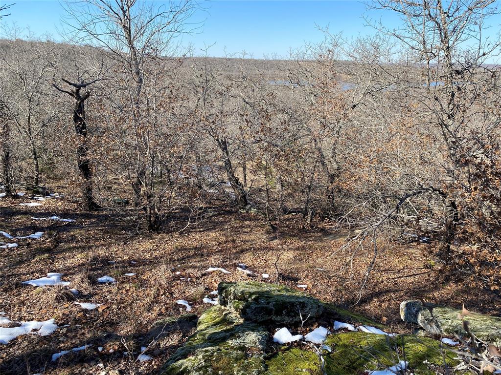 401 Mountainview Court Sunset, TX 76270 - Photo 7 of 18 a view of lot of trees