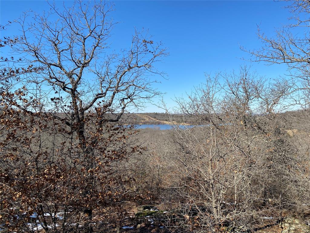401 Mountainview Court Sunset, TX 76270 - Photo 8 of 18 a view of a yard with a tree