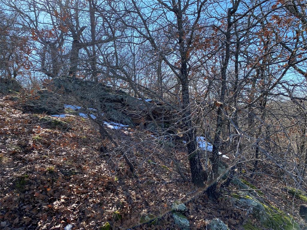 401 Mountainview Court Sunset, TX 76270 - Photo 9 of 18 a backyard of a house