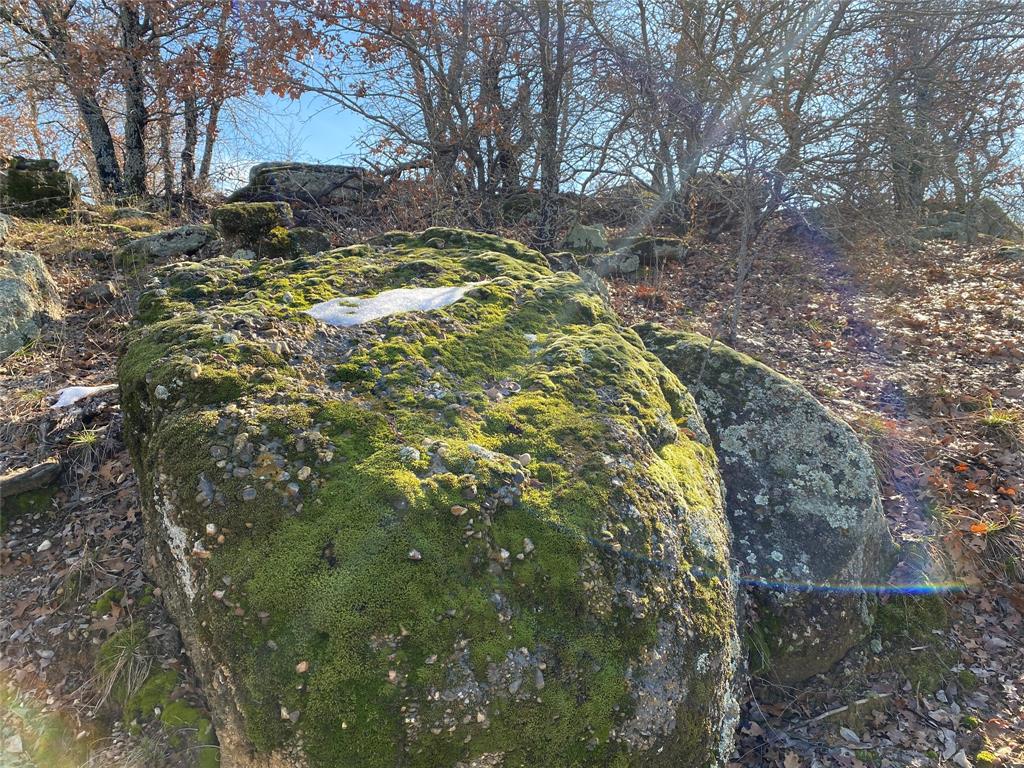 401 Mountainview Court Sunset, TX 76270 - Photo 10 of 18 a backyard of a house