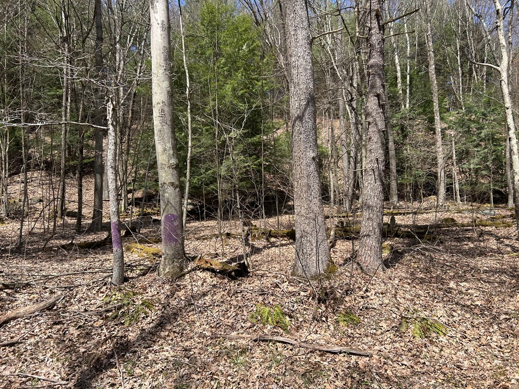 .. Breniman Road Shippenville, PA 16254 - Photo 12 of 22 Gallery Image 12