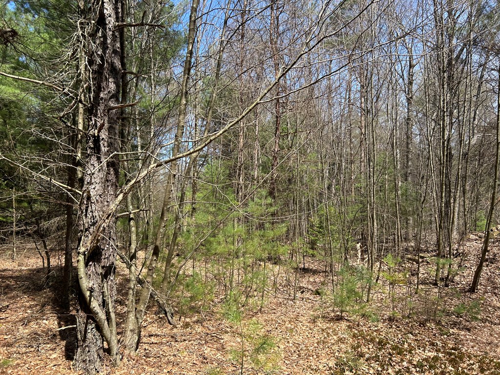 .. Breniman Road Shippenville, PA 16254 - Photo 20 of 22 Gallery Image 20