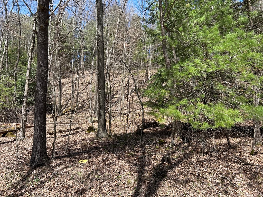 .. Breniman Road Shippenville, PA 16254 - Photo 9 of 22 Gallery Image 9