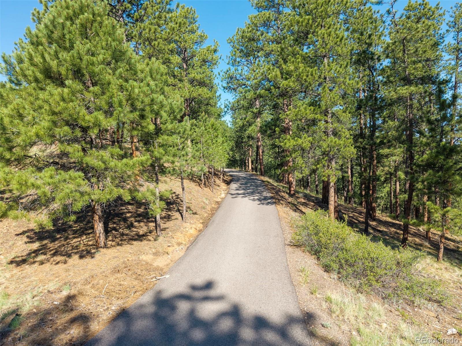 2828 Quartz Ridge Road Evergreen, CO 80439 - Photo 45 of 49