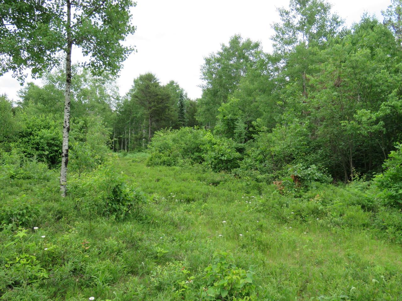 2222 Little Portage Lake Road Land O'Lakes, WI 54540 - Photo 10 of 18 Gallery Image 10