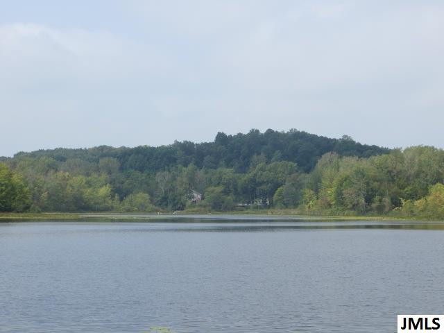 1618 Mull Road Tipton, MI 49287 - Photo 4 of 32 Photo 4