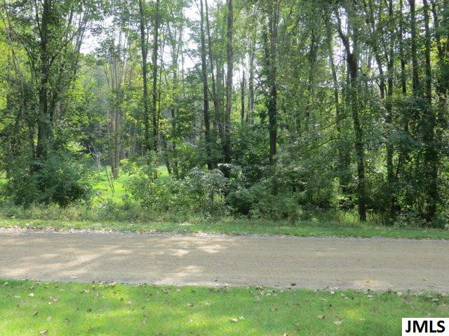 1618 Mull Road Tipton, MI 49287 - Photo 5 of 32 Photo 5