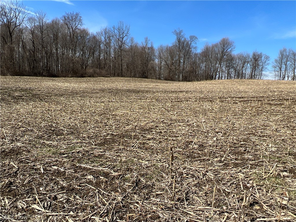 7 New Delaware Road Mount Vernon, OH 43050 - Photo 1 of 13 Gallery Image 1