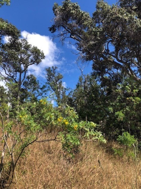 34 Luau Drive Ocean View, HI 96704 - Photo 2 of 10