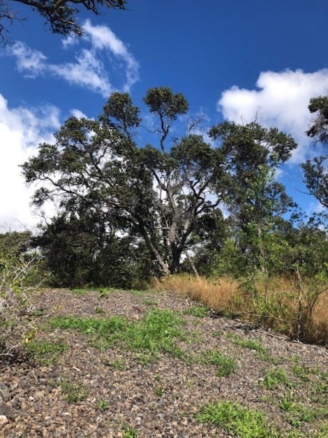 34 Luau Drive Ocean View, HI 96704 - Photo 3 of 10