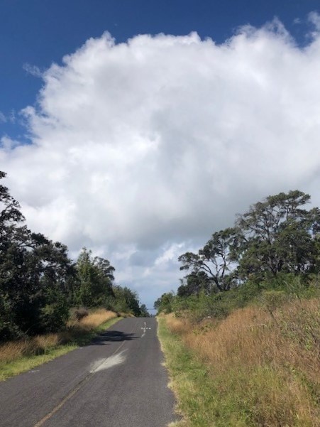 34 Luau Drive Ocean View, HI 96704 - Photo 9 of 10