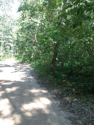South Tippy Dam Road Wellston, MI 49689 - Photo 3 of 6 Additional Photo