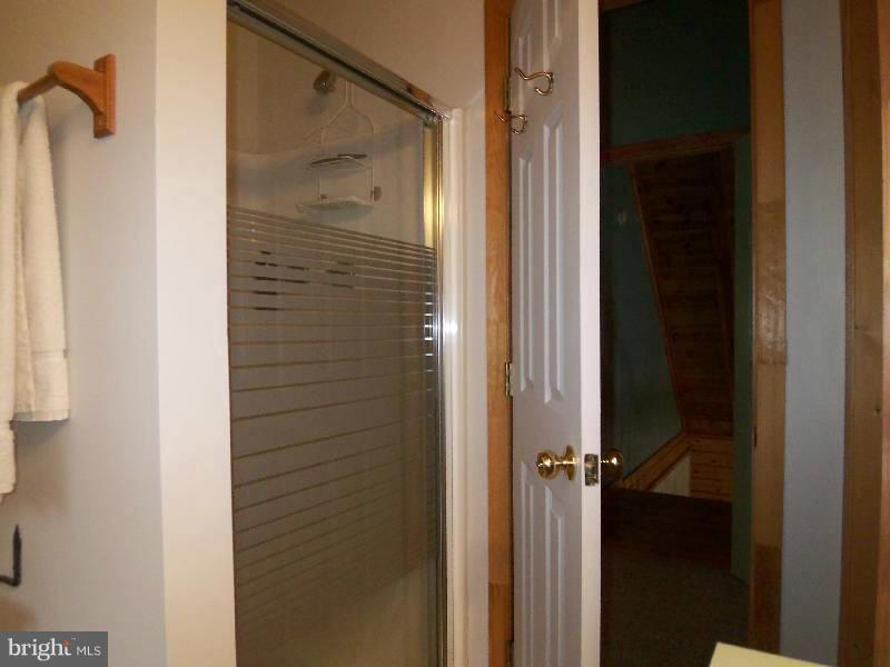 20 Mountainside Road Berkeley Springs, WV 25411 - Photo 29 of 30 Bath (Master)