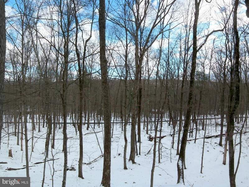 20 Mountainside Road Berkeley Springs, WV 25411 - Photo 4 of 30 View