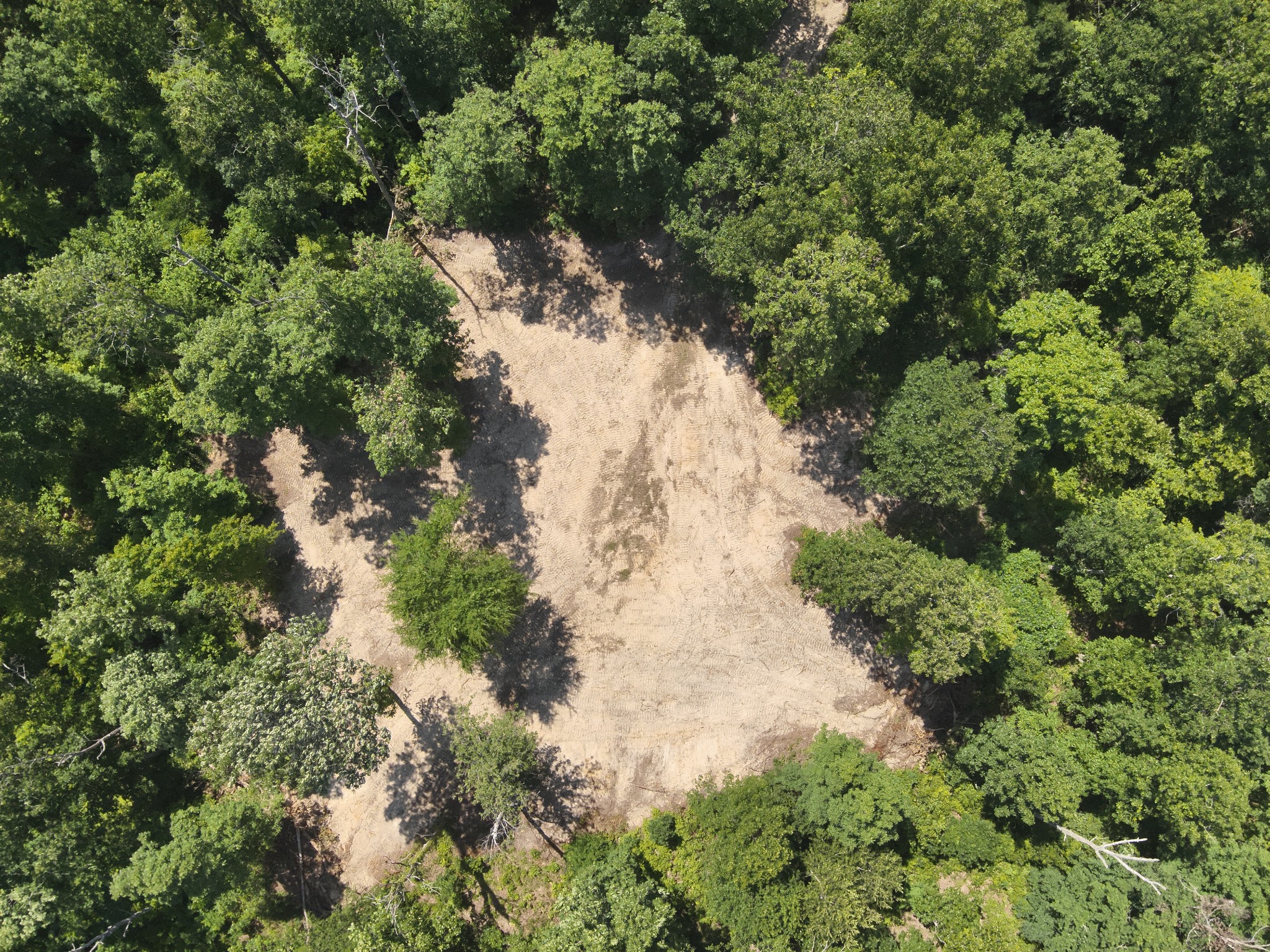 0 Bear Creek Road Waverly, TN 37185 - Photo 21 of 35 a view of a forest with a tree