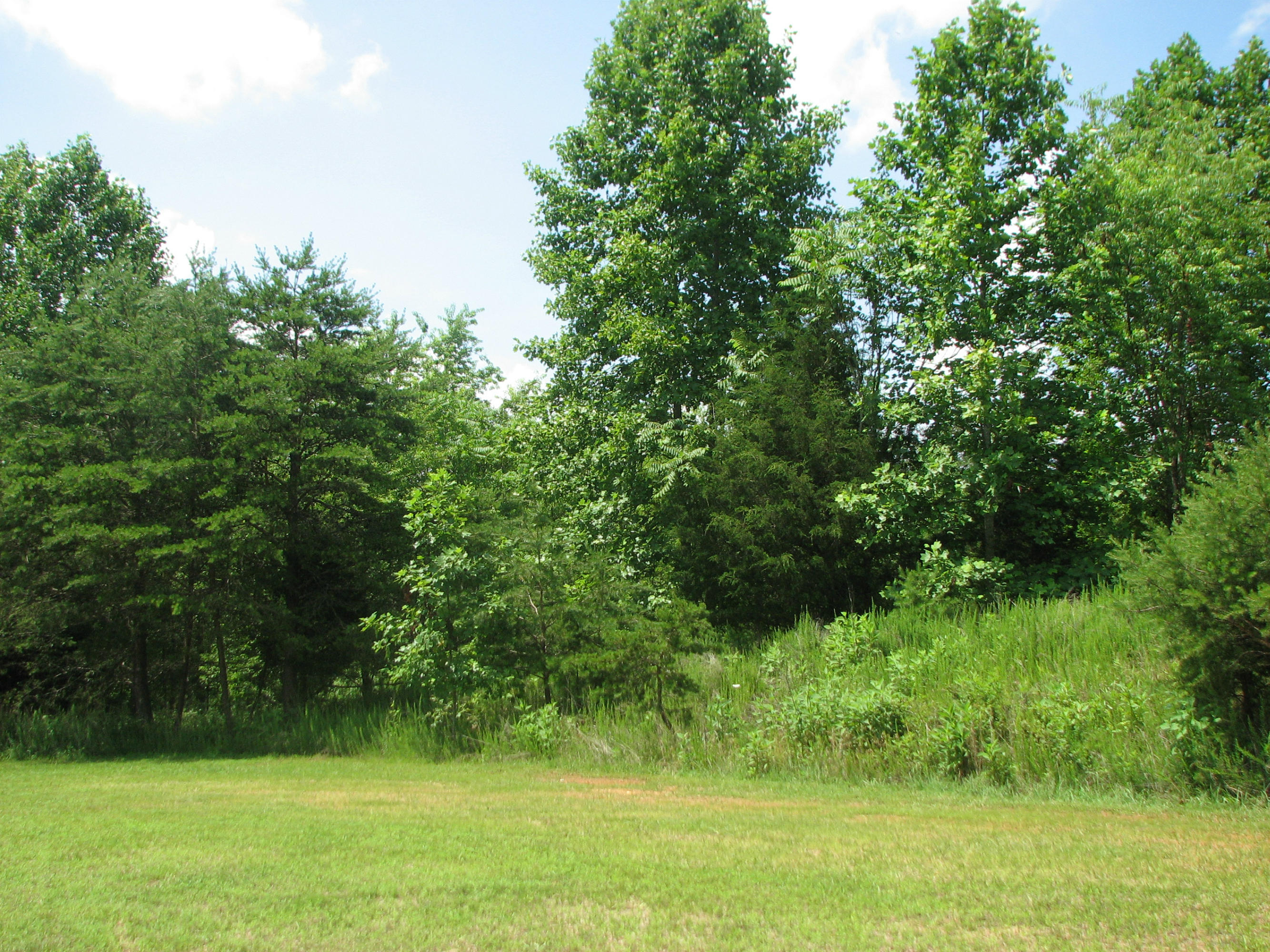 Lot 33 River Ridge Road Sandy Level, VA 24161 - Photo 2 of 7 a view of a garden