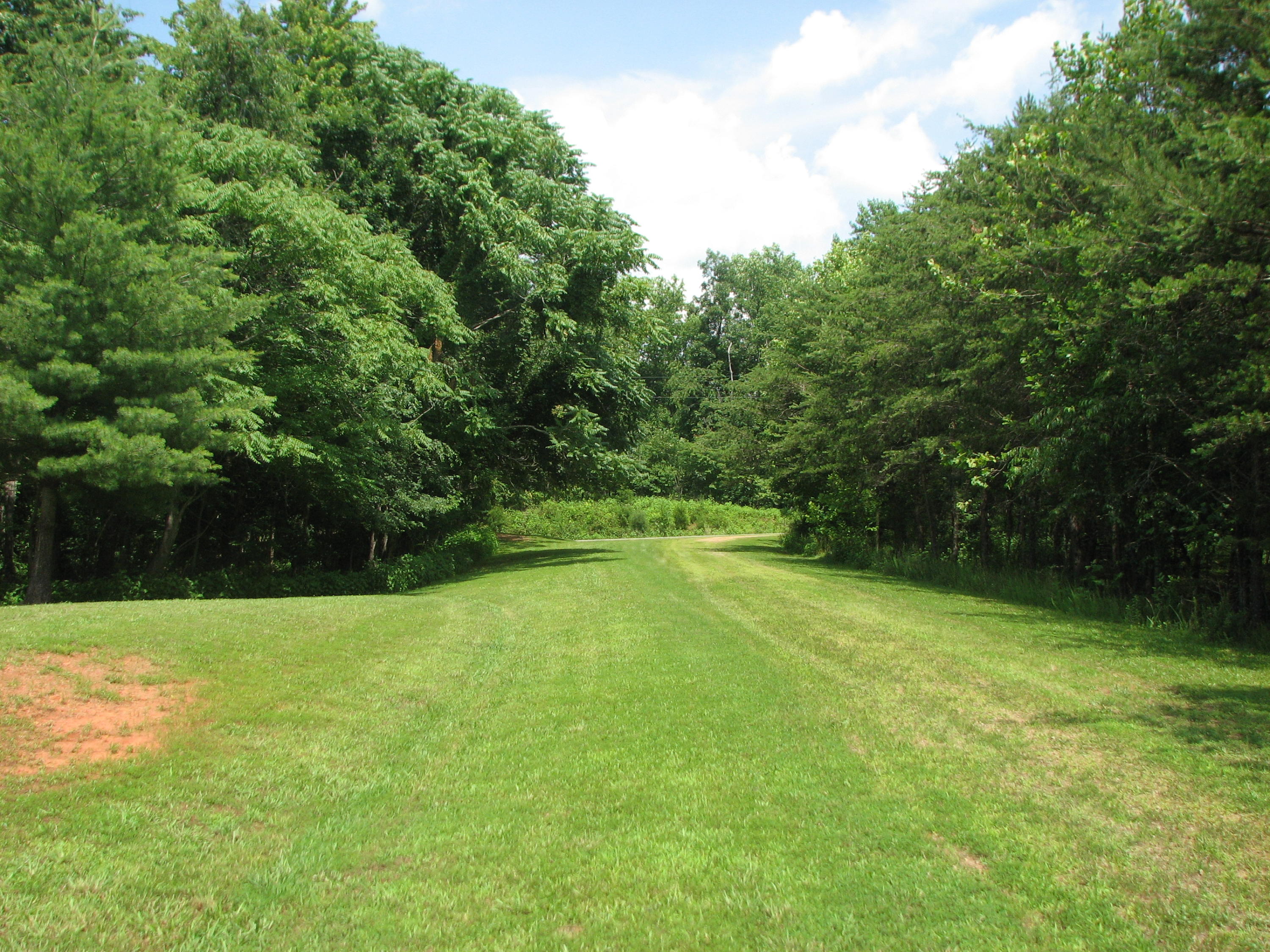Lot 33 River Ridge Road Sandy Level, VA 24161 - Photo 4 of 7 a view of a green yard