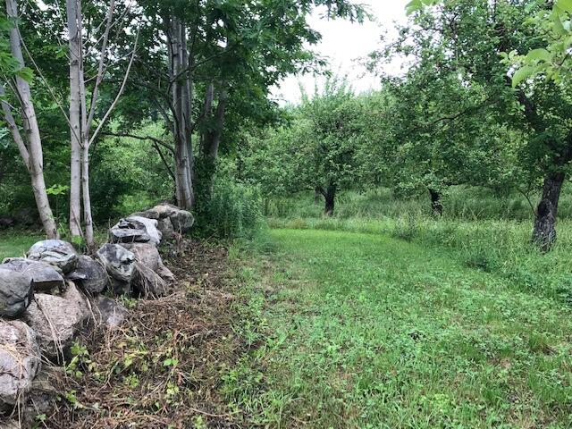 0 Parsonsfield Road Limerick, ME 04048 - Photo 21 of 38 IMG_5899