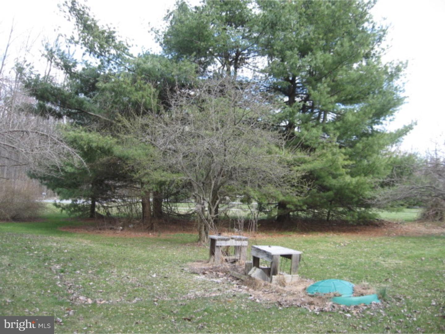 998 Telegraph Road Coatesville, PA 19320 - Photo 20 of 21 Side Yard