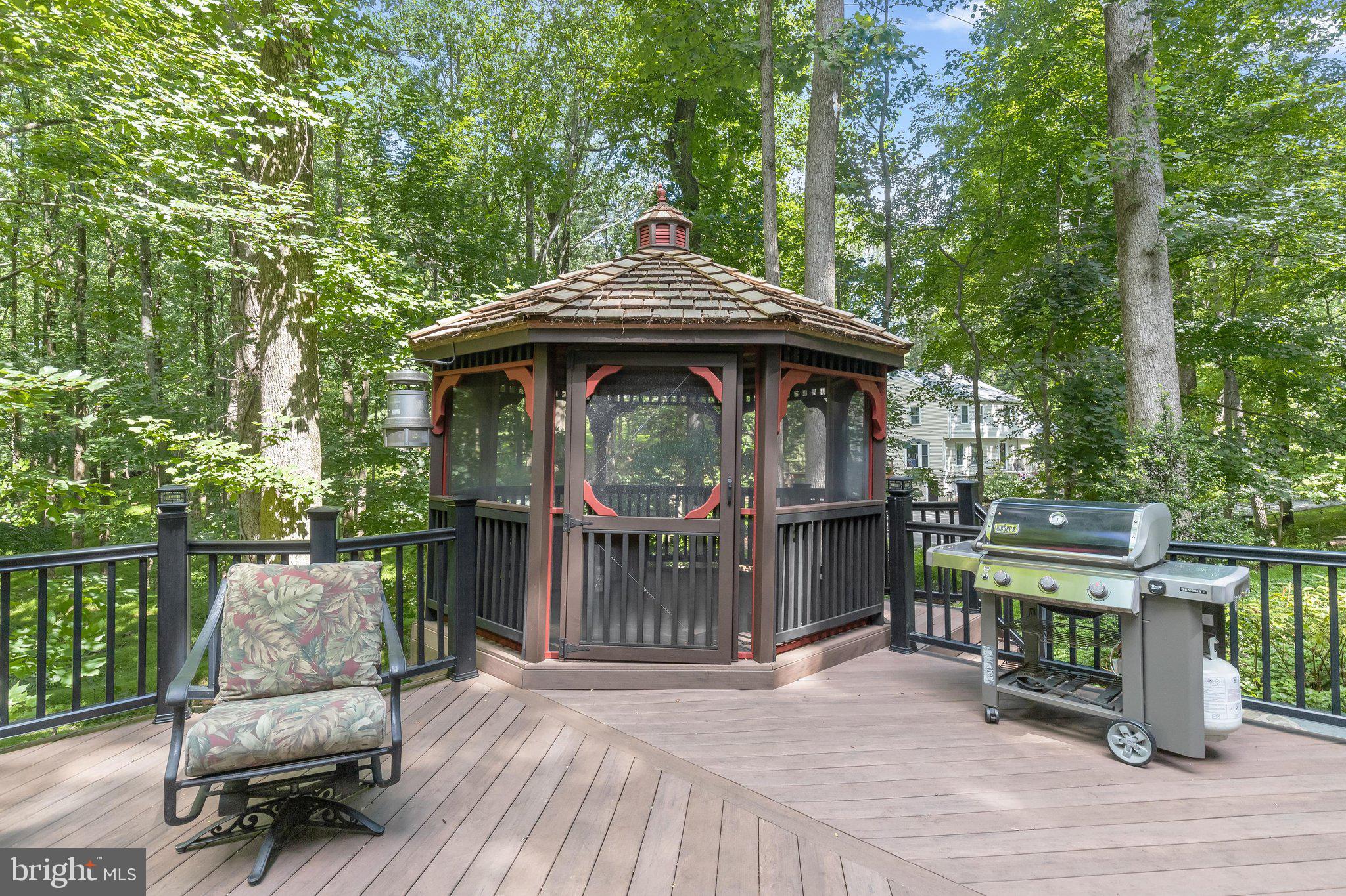 3903 Dance Mill Road Phoenix, MD 21131 - Photo 63 of 79 Timber Tech Decking