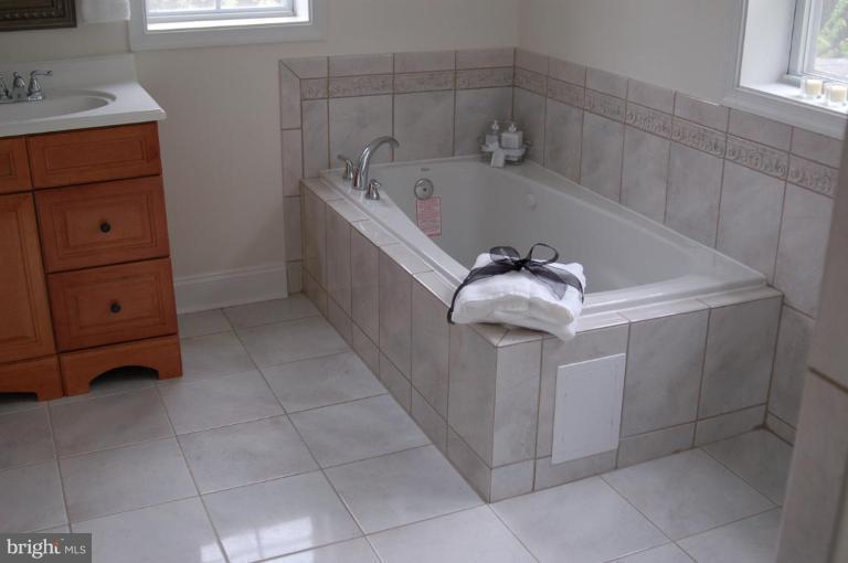 3125 Military Road Northwest Washington, DC 20015 - Photo 11 of 17 LG JACUZZI TUB W/SEPERATE WATER LINE