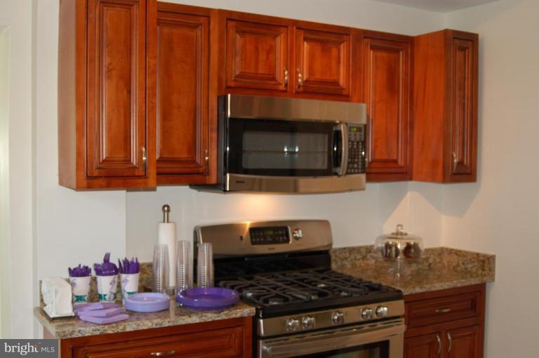 3125 Military Road Northwest Washington, DC 20015 - Photo 8 of 17 ALL STAINLESS STEEL APPL W/NEW BEAUTIFUL CABINETS