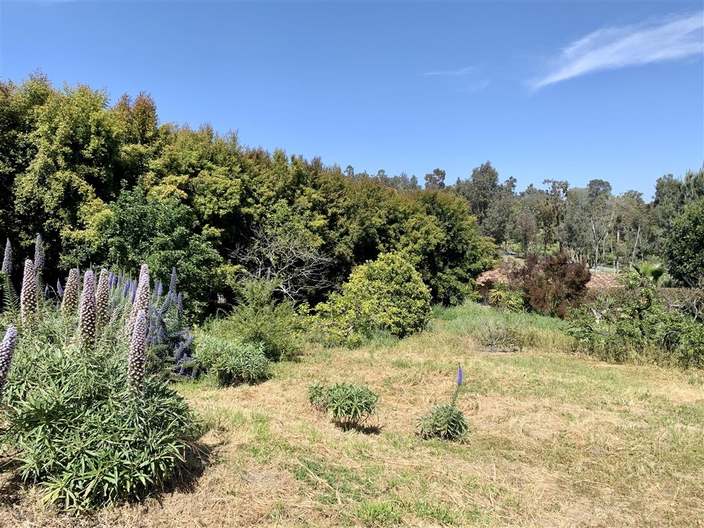 15022 Paso Del Sol Del Mar, CA 92014 - Photo 17 of 25 a view of a yard with a tree