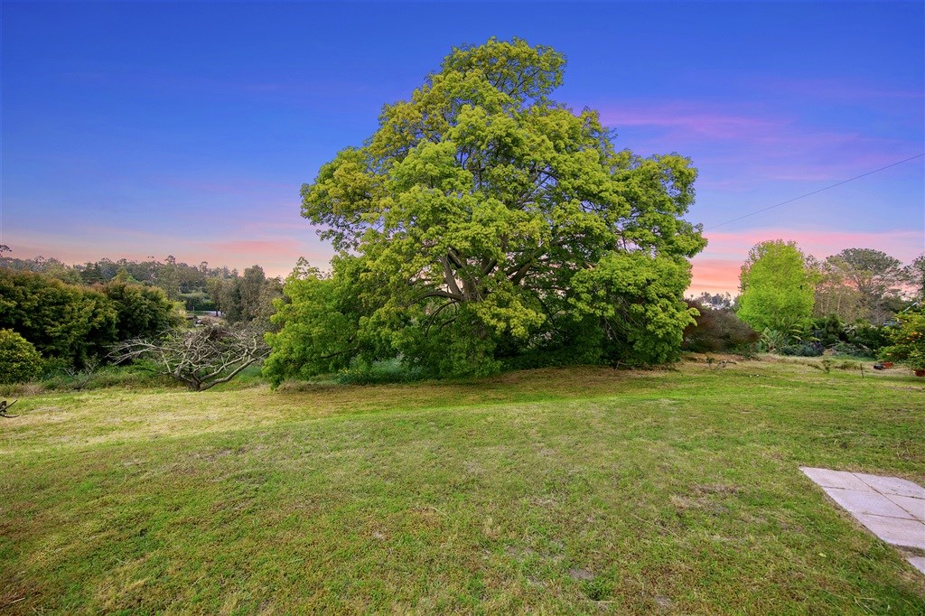 15022 Paso Del Sol Del Mar, CA 92014 - Photo 24 of 25 a view of a field with trees in the background