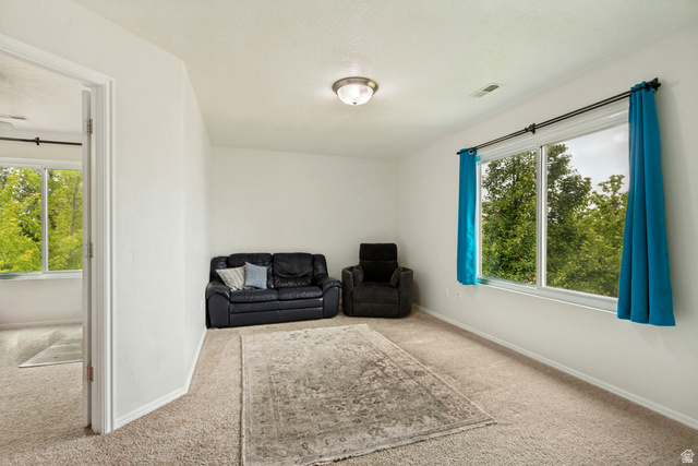 1427 South 1100th Street West Springville, UT 84663 - Photo 24 of 44