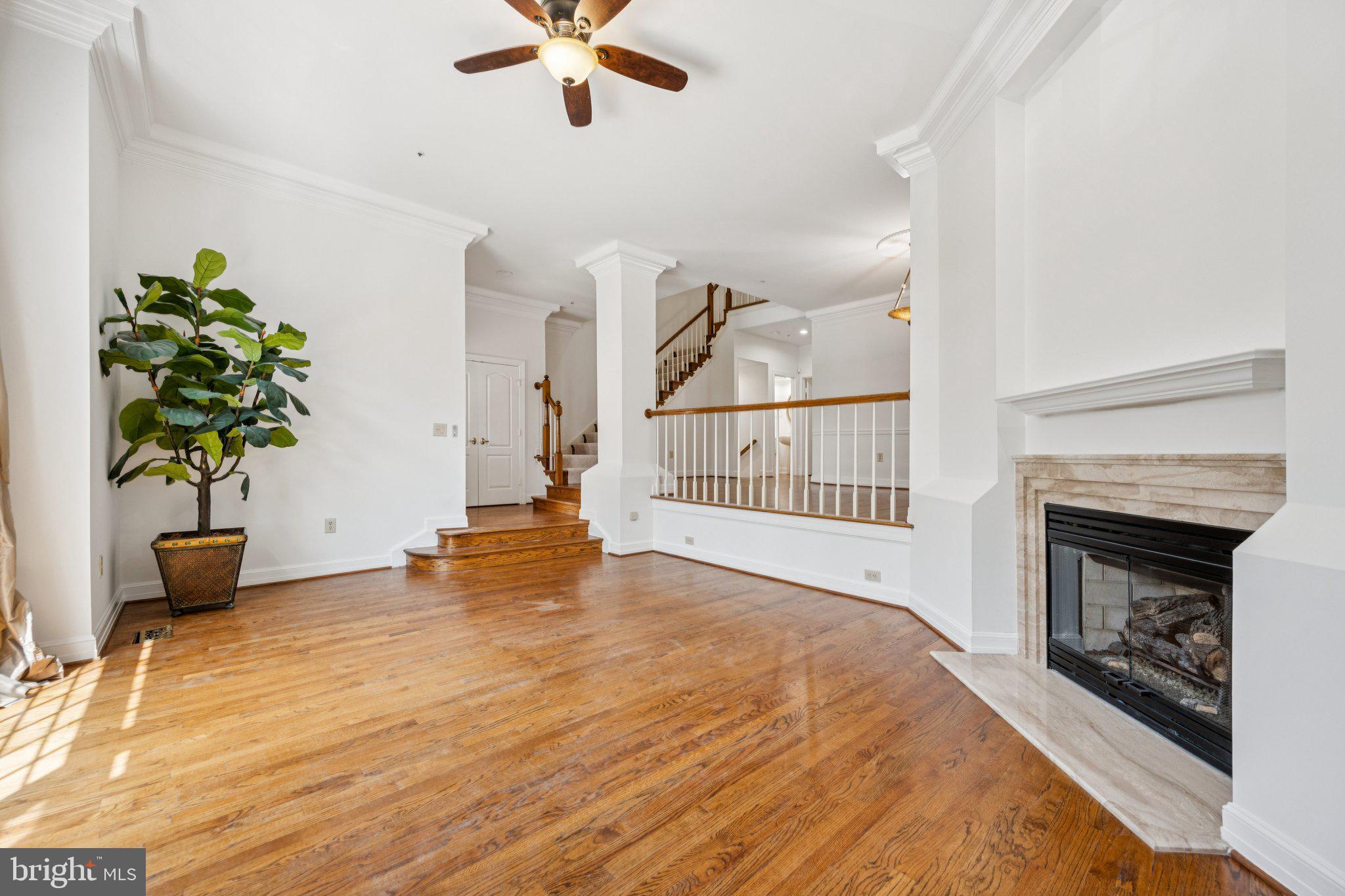 5819 Madaket Road Bethesda, MD 20816 - Photo 7 of 50 a bedroom with a bed and a potted plant