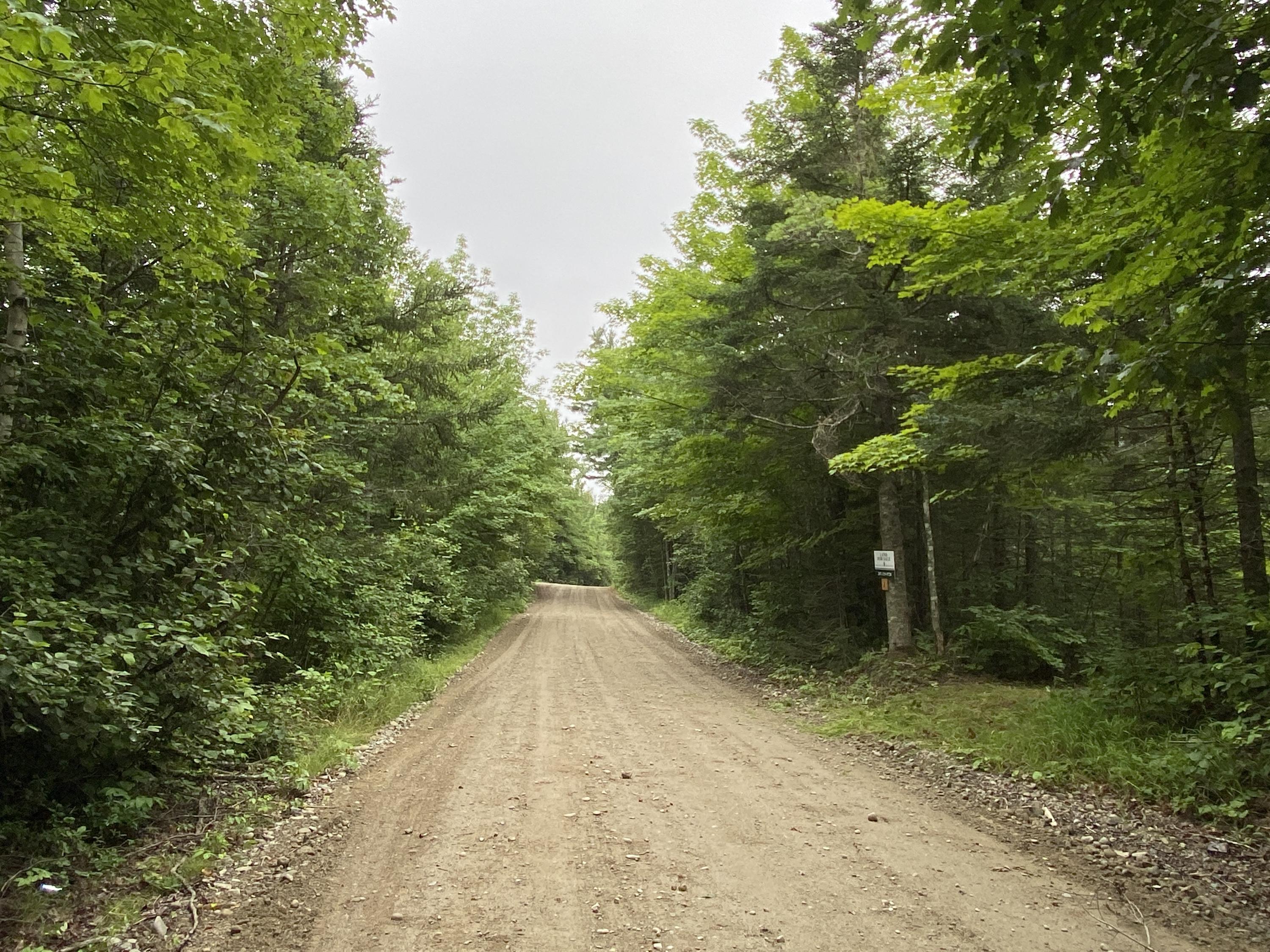 Lot 2 Georgetown Woods Road Columbia Falls, ME 04623 - Photo 3 of 10 D4CBB341-2A17-4FF0-B95B-067E813E070A