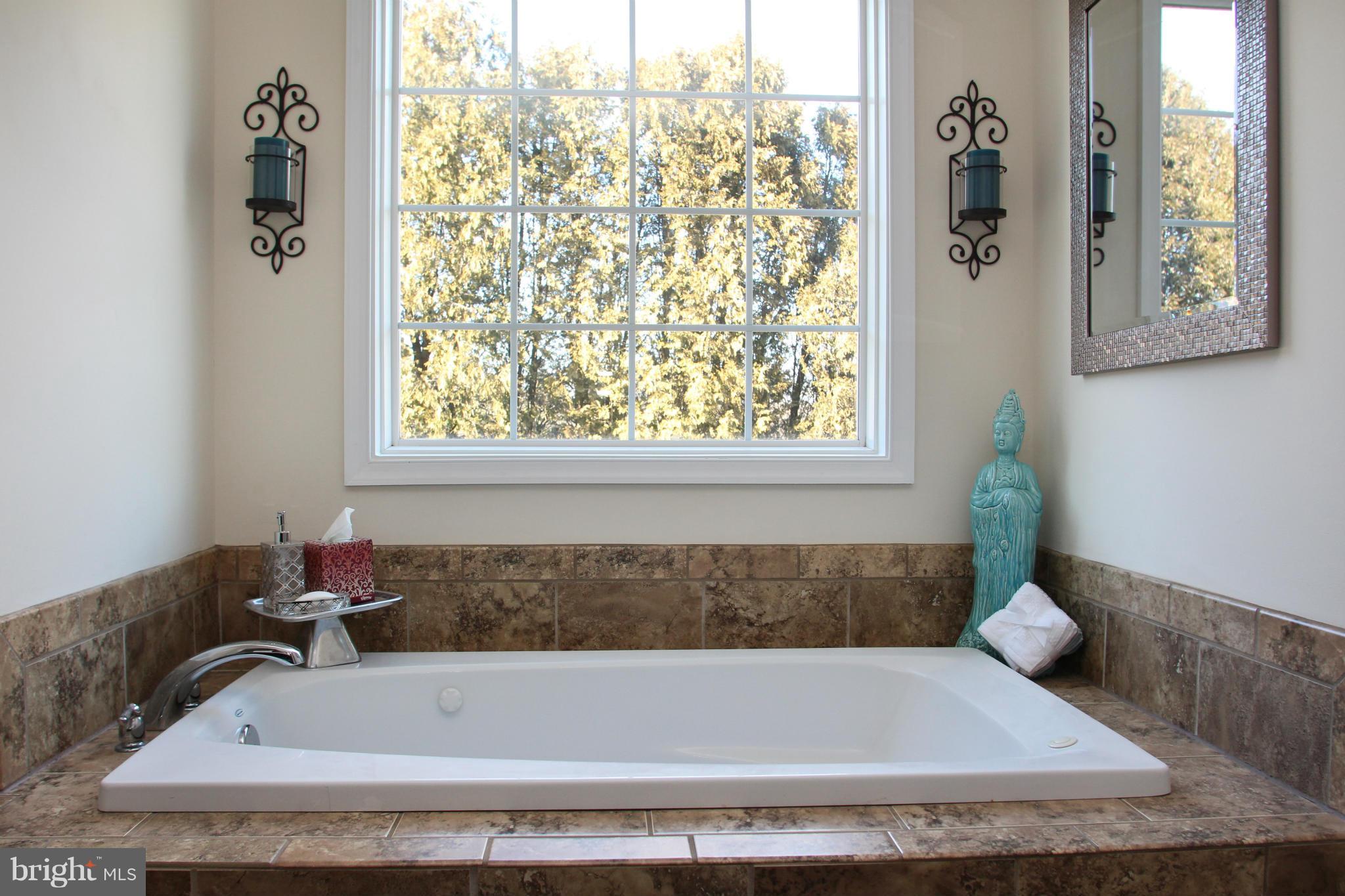 608 Mountain Road Fallston, MD 21047 - Photo 20 of 30 Master Bath with jetted Soaking Tub