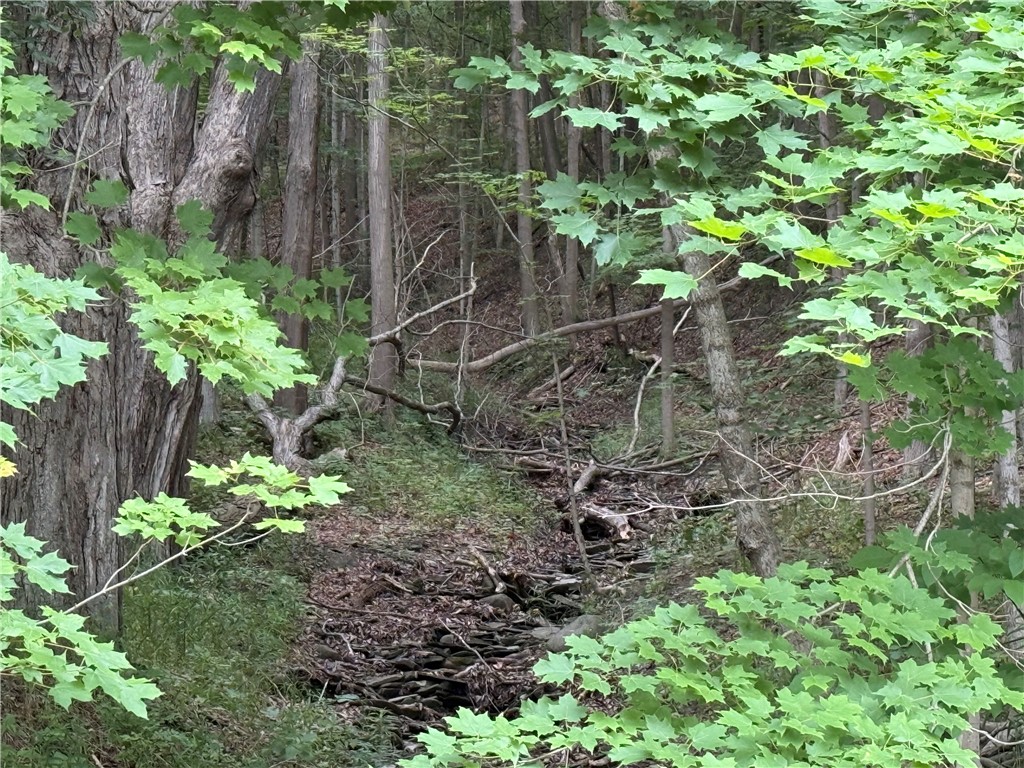 1592 Emerson Road Potter, NY 14507 - Photo 9 of 25