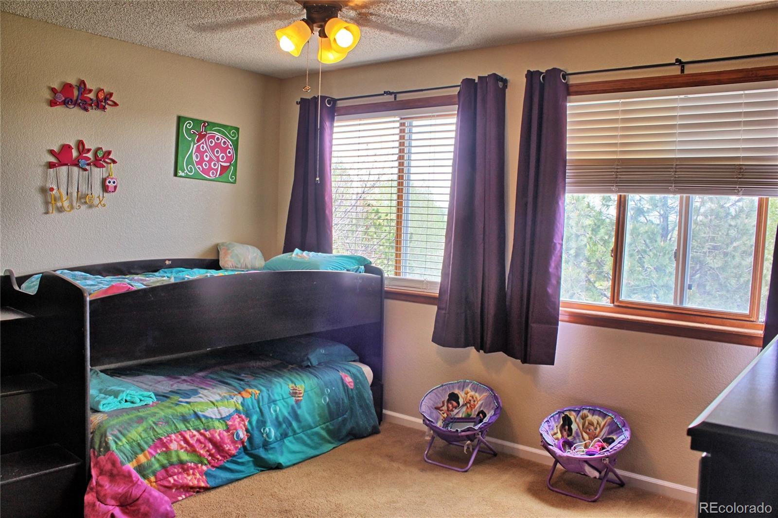 10542 Stoneflower Drive Parker, CO 80134 - Photo 14 of 22 Gallery Image 14