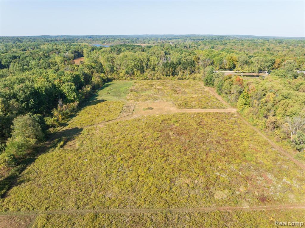 4066 Crawford Road Dryden, MI 48428 - Photo 5 of 13