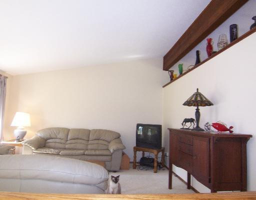 815 McKinley Road Chelsea, MI 48118 - Photo 2 of 5 Photo 2