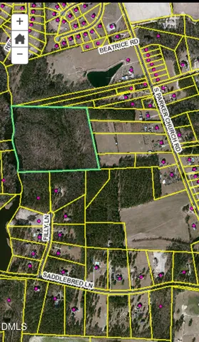 a picture of a room with a white wall and a potted plant