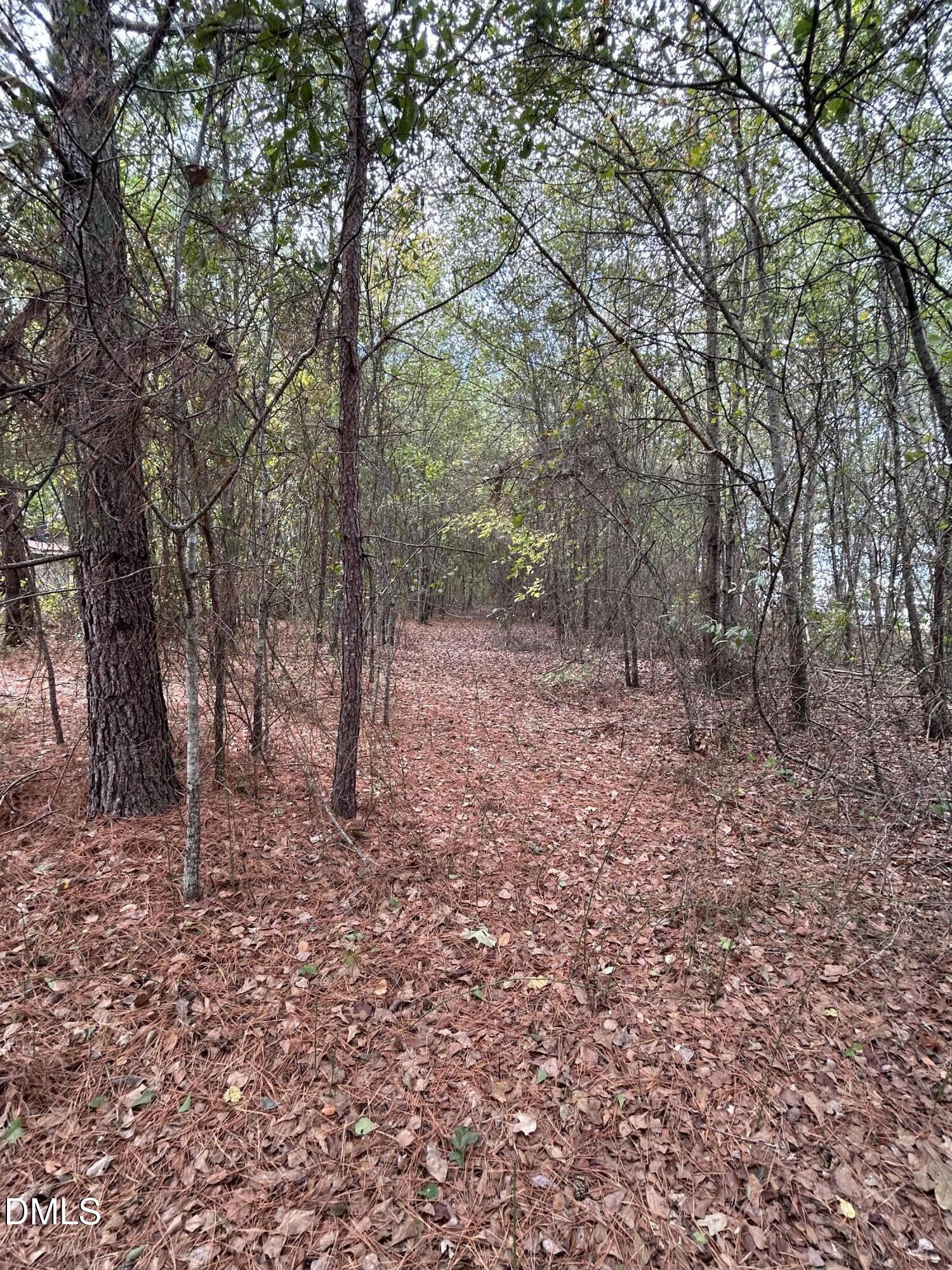 3.6 South Parker Church Road Raeford, NC 28376 - Photo 20 of 23 a view of a forest with trees in the background