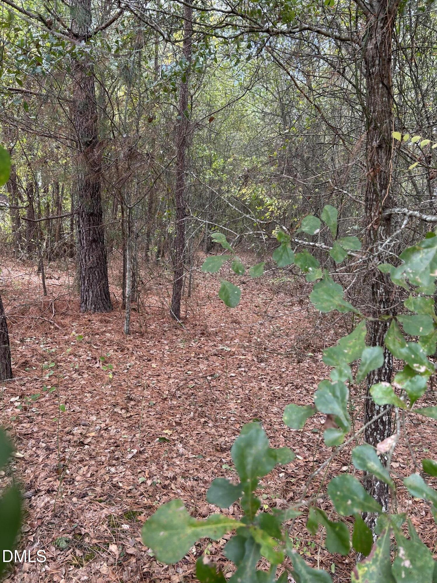 3.6 South Parker Church Road Raeford, NC 28376 - Photo 23 of 23 a backyard of a house with lots of green space